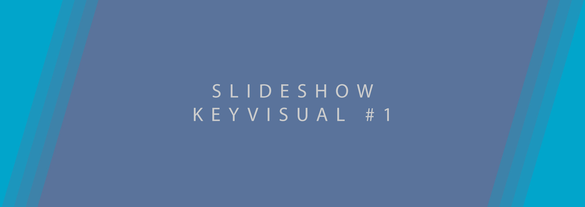 testslide1