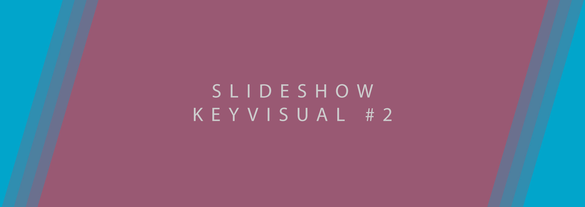 testslide2
