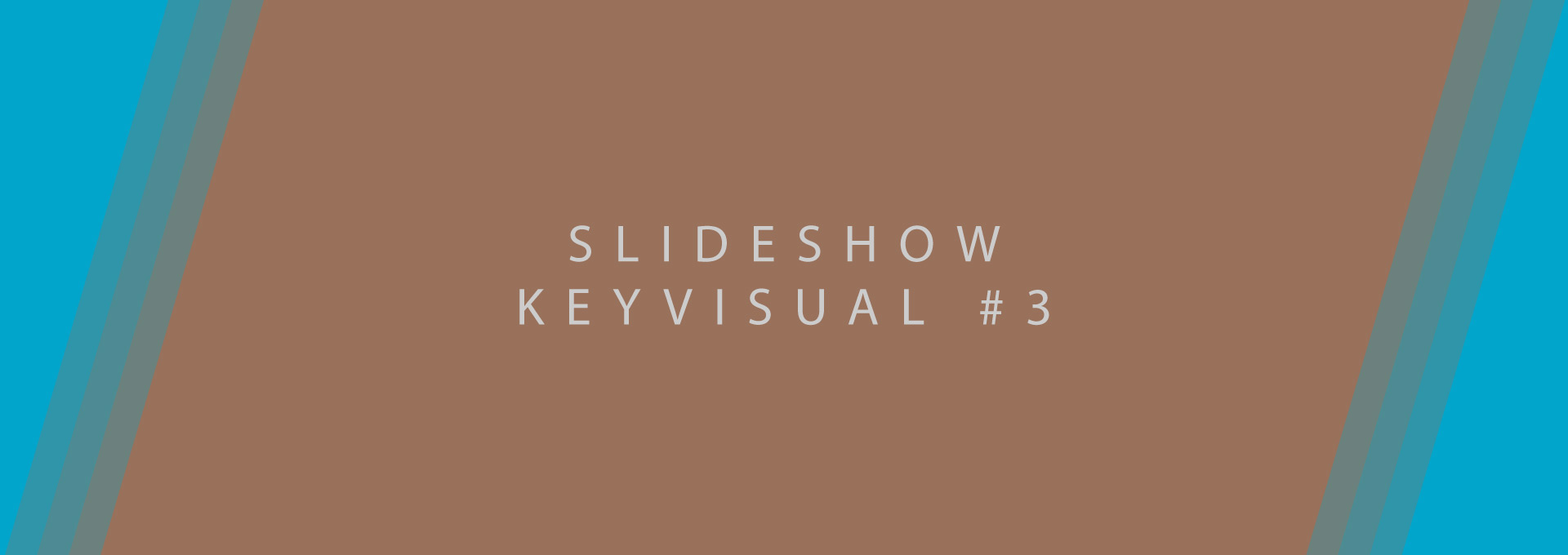 testslide3
